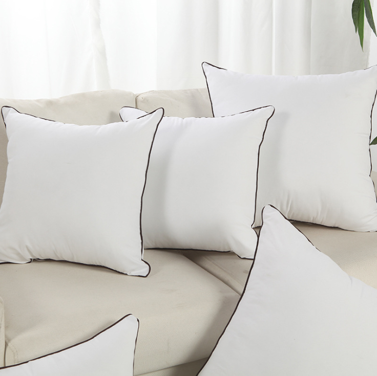 Feather Throw Pillow