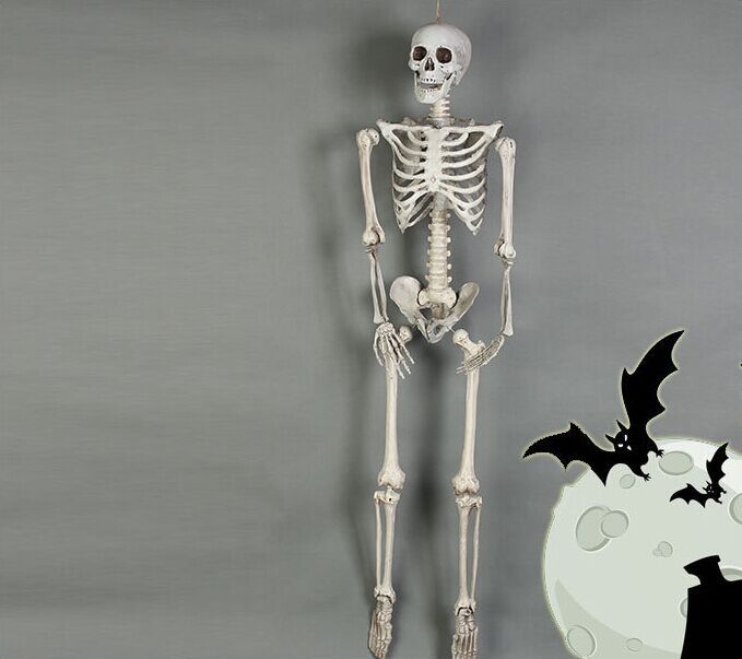 Skeleton Ornaments