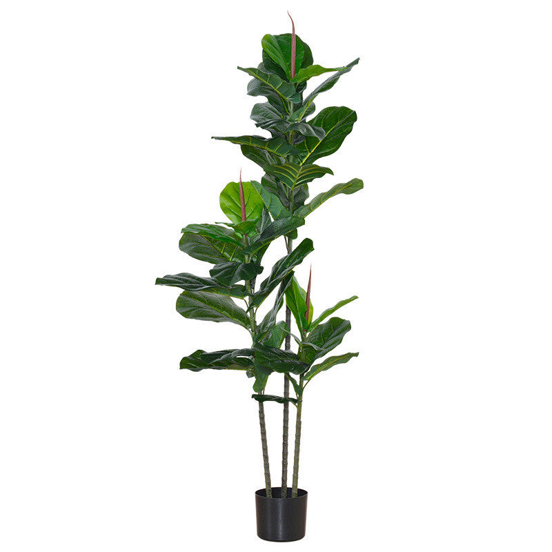 Stimulation Plant