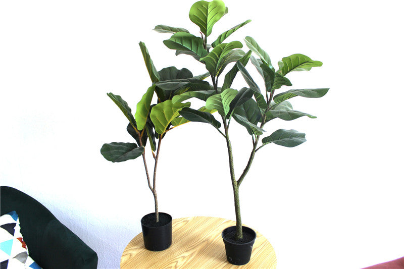 Stimulation Plant