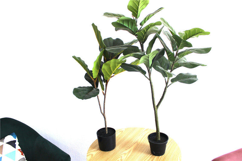 Stimulation Plant