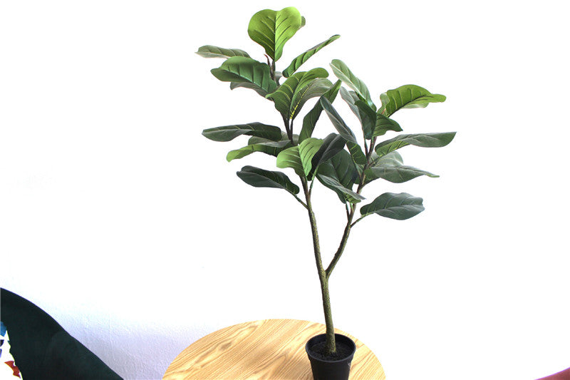 Stimulation Plant