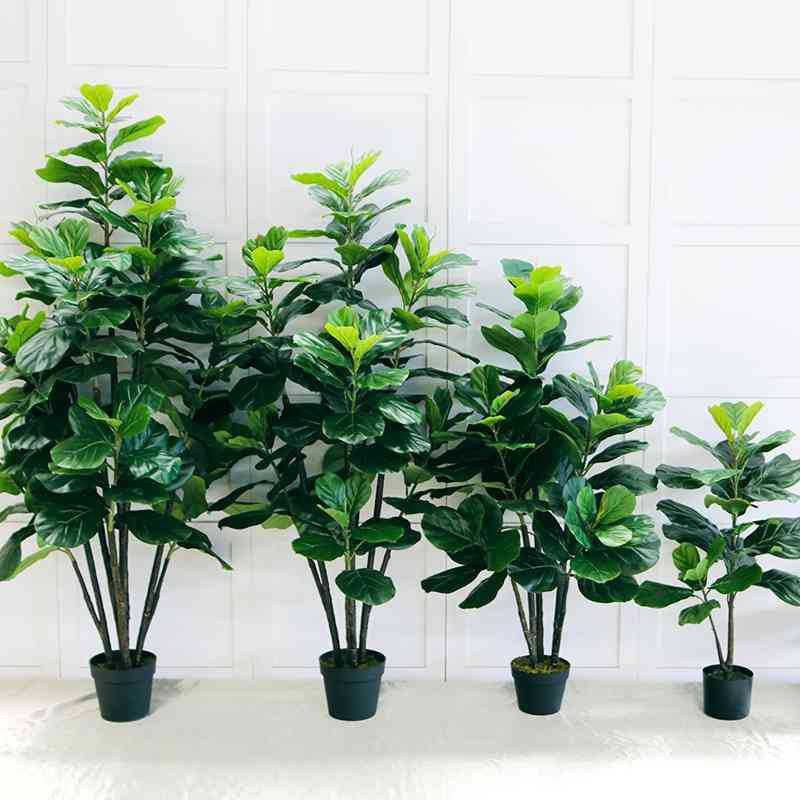 Stimulation Plant