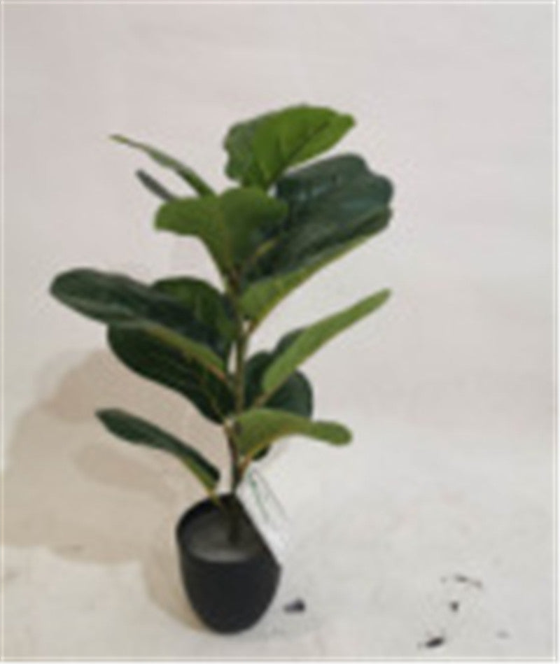 Stimulation Plant