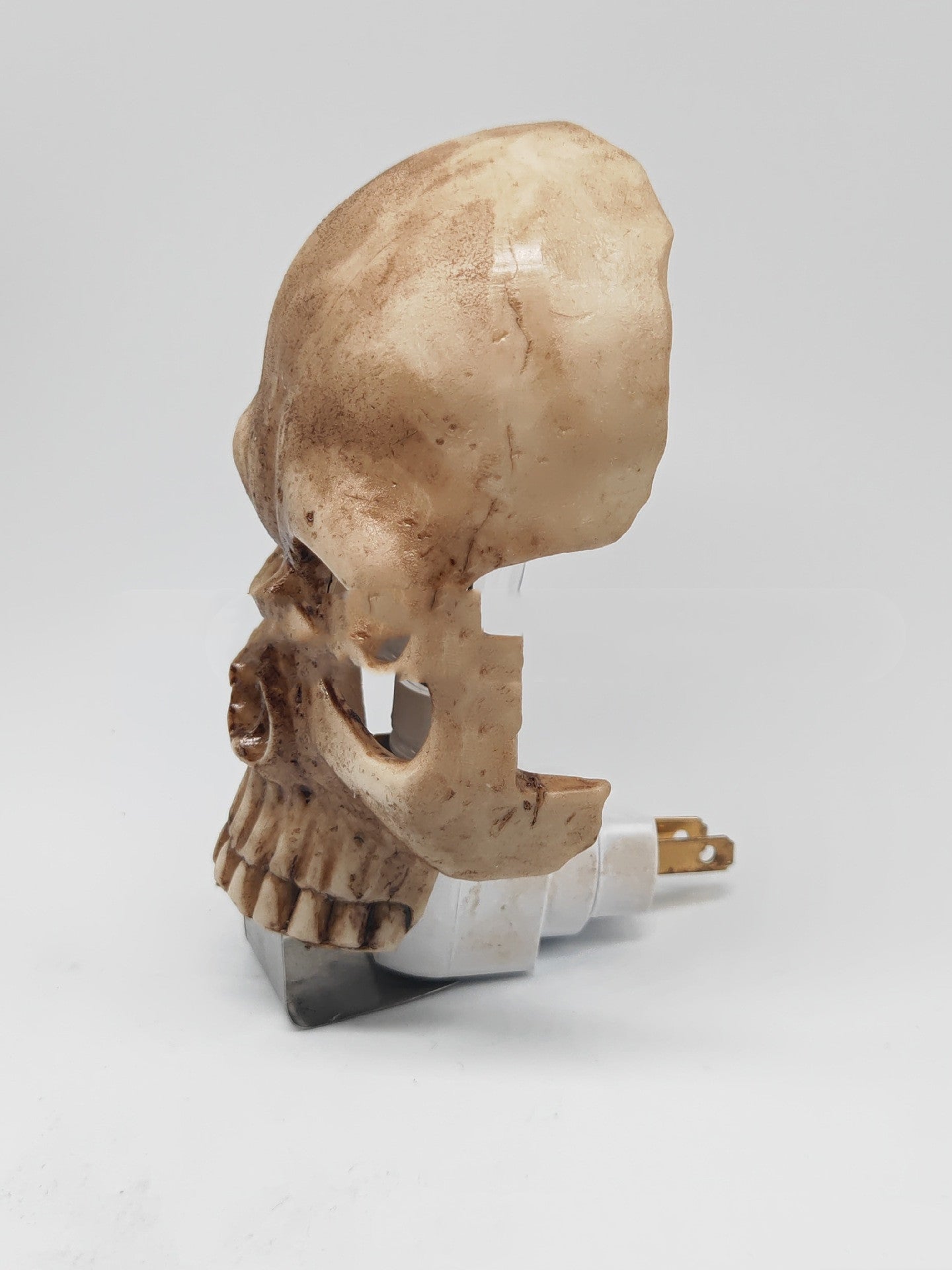 Skull Night Light