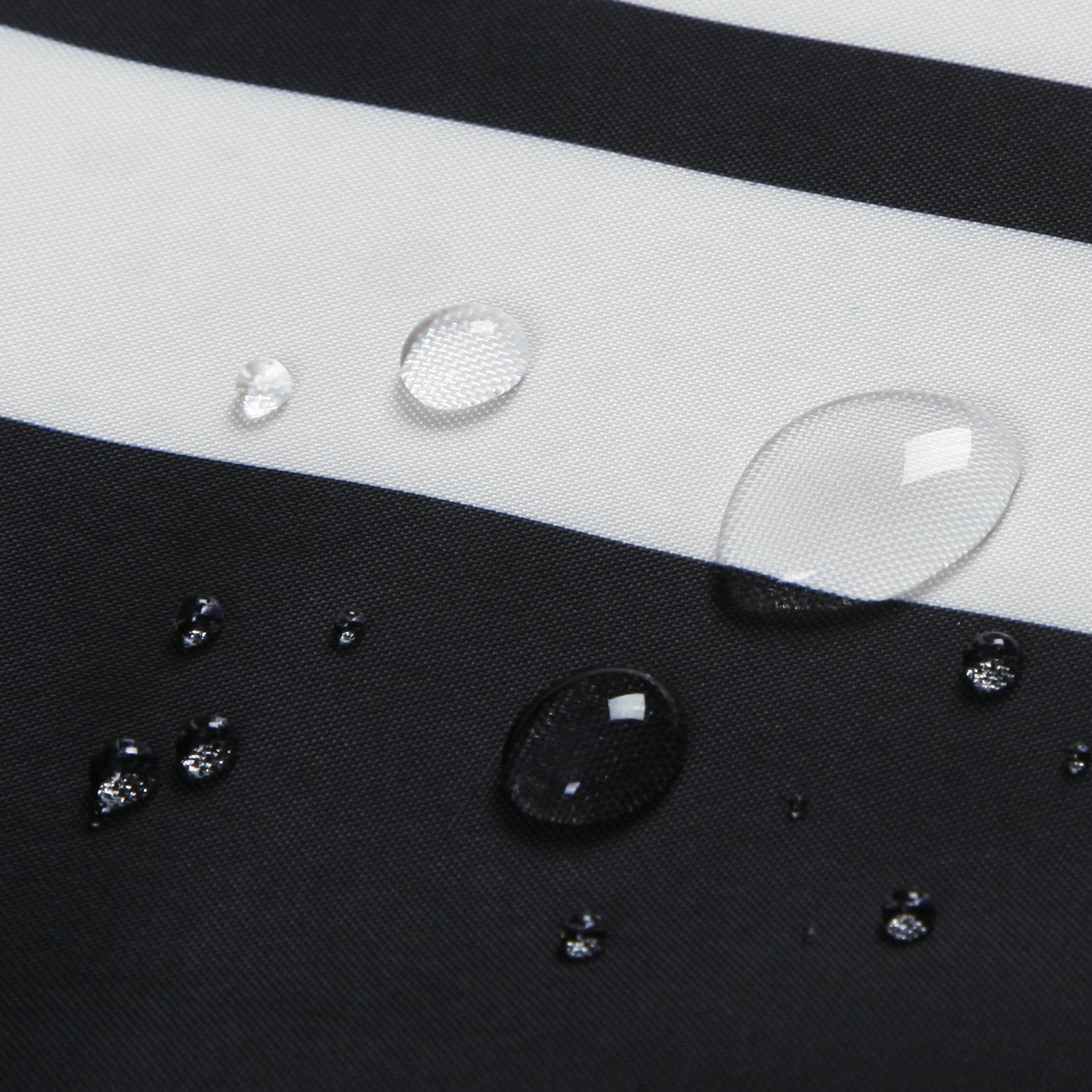 Shower Curtain