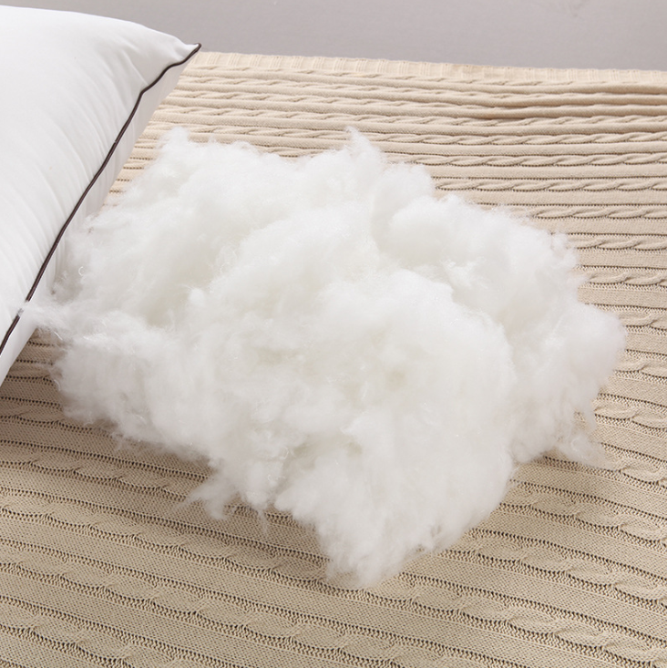Feather Throw Pillow