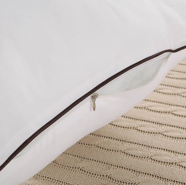 Feather Throw Pillow