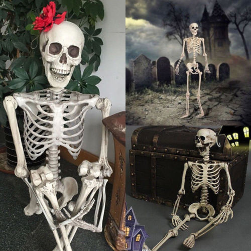 Skeleton Ornaments
