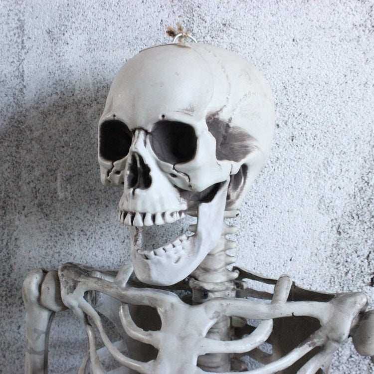 Skeleton Ornaments