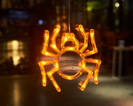 Window Hanging Lights