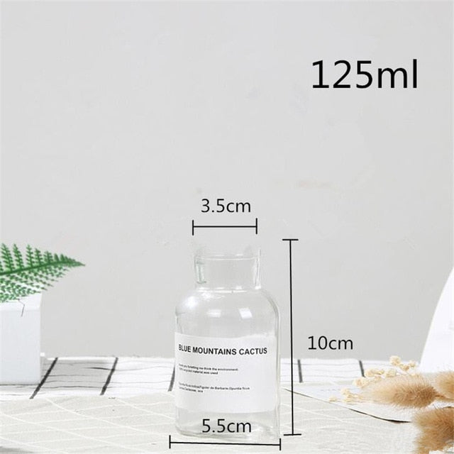 Glass Vase Flower Pot