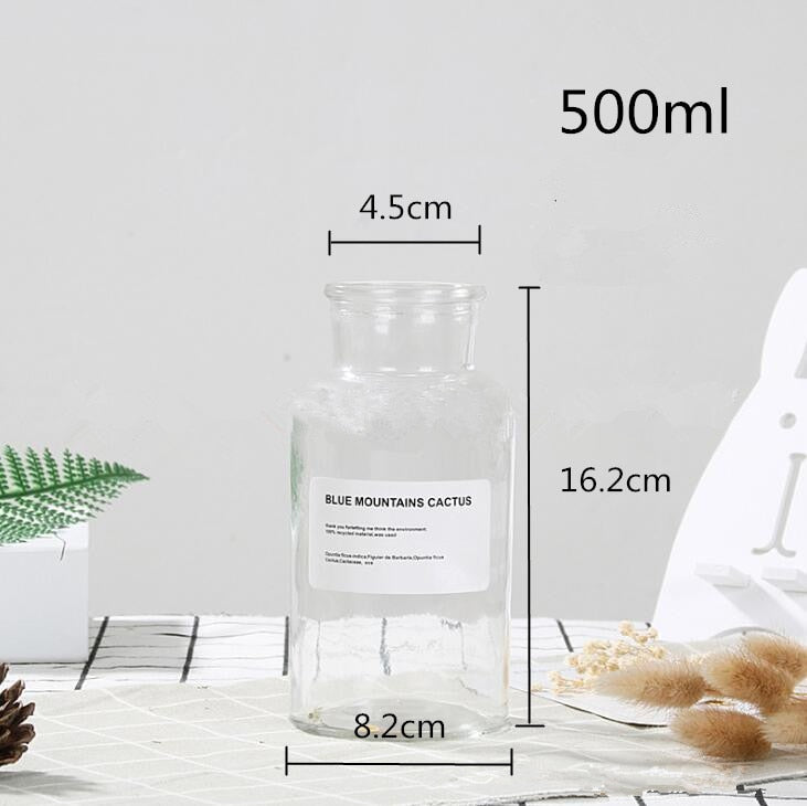 Glass Vase Flower Pot