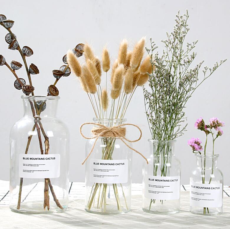 Glass Vase Flower Pot