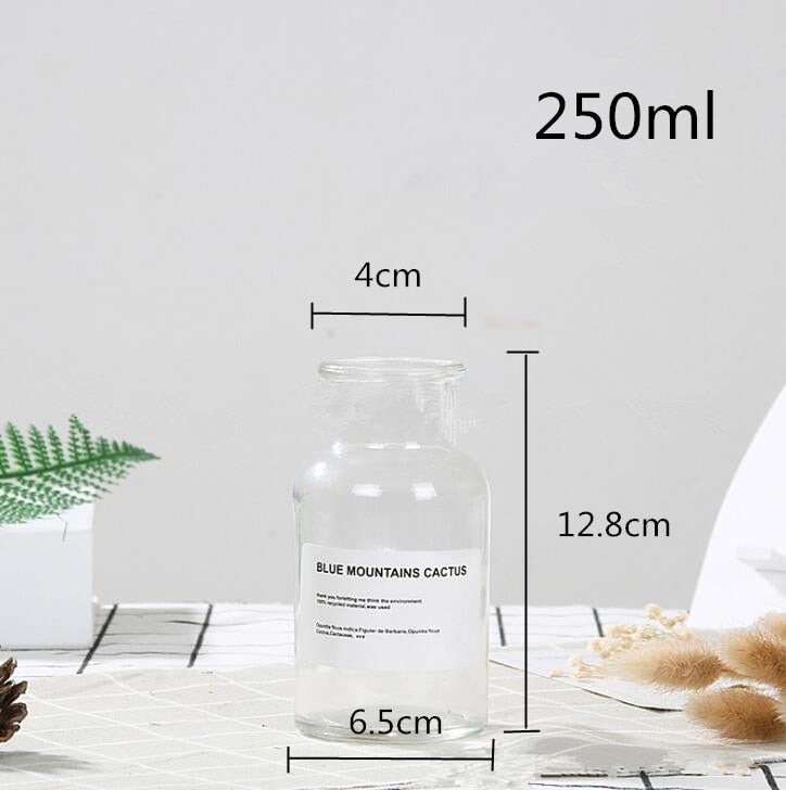 Glass Vase Flower Pot