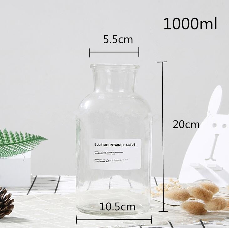 Glass Vase Flower Pot
