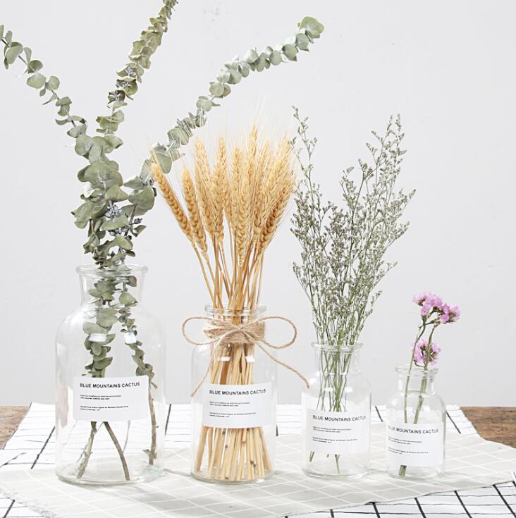 Glass Vase Flower Pot