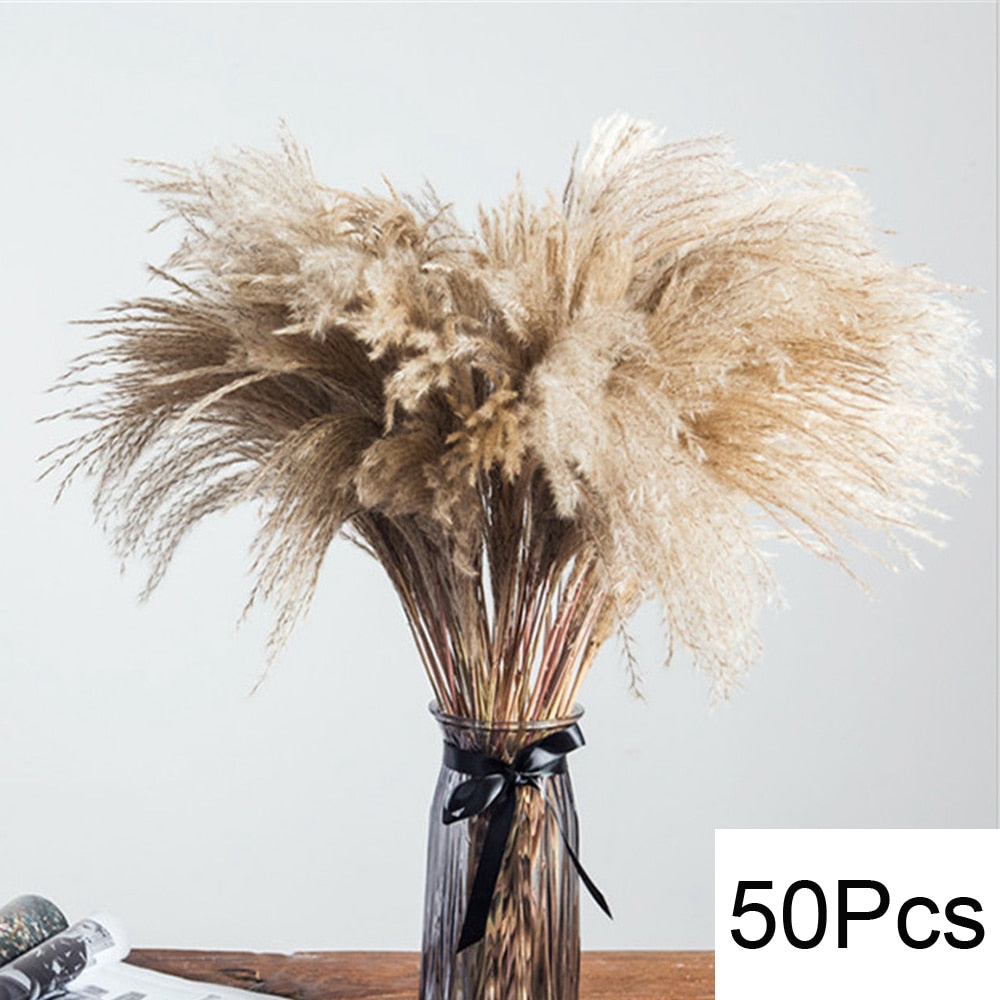 Dried Fluffy Pampas Bouquet