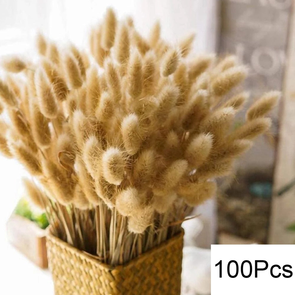 Dried Fluffy Pampas Bouquet