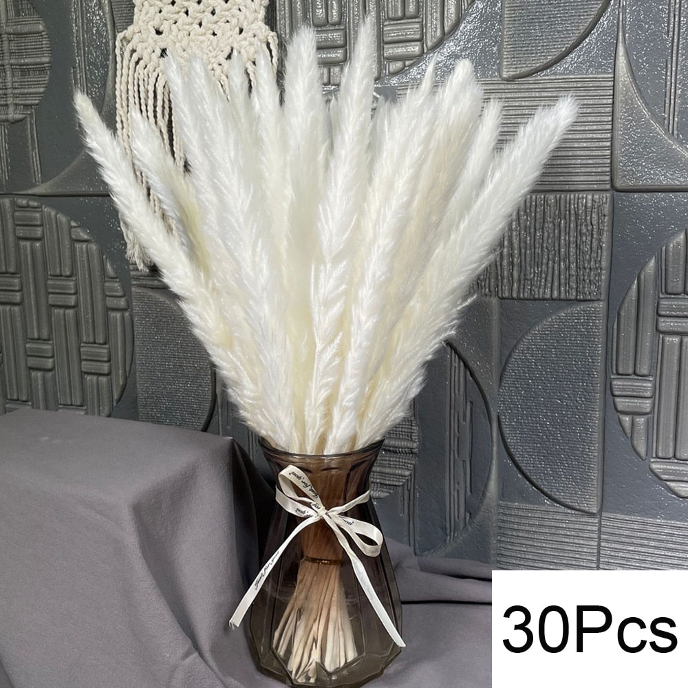 Dried Fluffy Pampas Bouquet