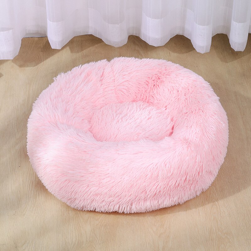 Dog Bed